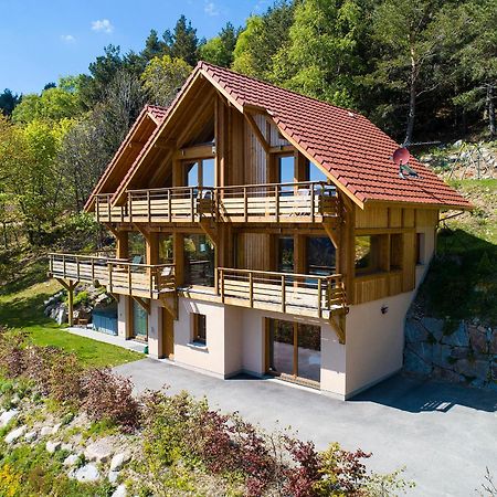 Les Chalets De La Marcairie Metzeral Exteriör bild